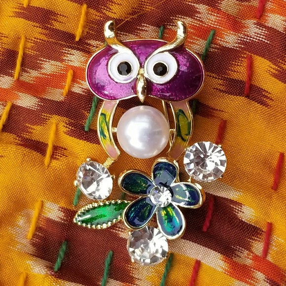 Other Jewelry - Funky Whimsical Owl Brooch